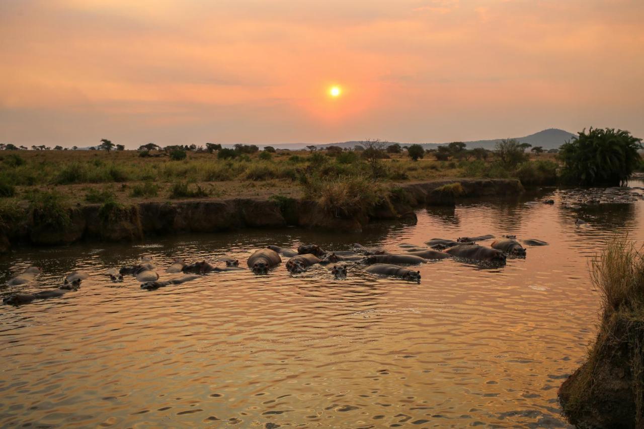Osero Serengeti Luxury Tented Camp Banagi Exterior photo
